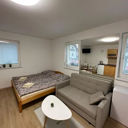 Apartment Chalupa Synka *